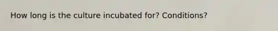 How long is the culture incubated for? Conditions?