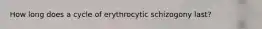 How long does a cycle of erythrocytic schizogony last?