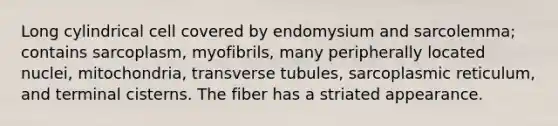 Long cylindrical cell covered by endomysium and sarcolemma; contains sarcoplasm, myofibrils, many peripherally located nuclei, mitochondria, transverse tubules, sarcoplasmic reticulum, and terminal cisterns. The fiber has a striated appearance.