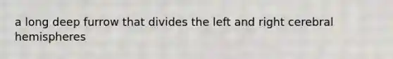 a long deep furrow that divides the left and right cerebral hemispheres