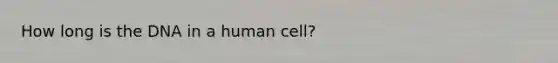 How long is the DNA in a human cell?