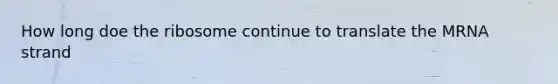 How long doe the ribosome continue to translate the MRNA strand
