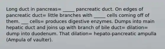 Long duct in pancreas= _____ pancreatic duct. On edges of pancreatic duct= little branches with _____ cells coming off of them. ___ cells= produces digestive enzymes. Dumps into main hepatic duct and joins up with branch of bile duct= dilation= dump into duodenum. That dilation= hepato-pancreatic ampulla (Ampula of vaulter).