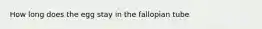 How long does the egg stay in the fallopian tube