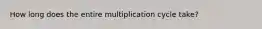 How long does the entire multiplication cycle take?