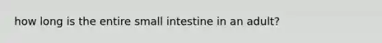 how long is the entire small intestine in an adult?