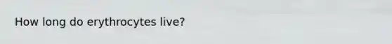 How long do erythrocytes live?