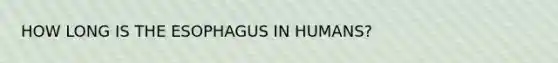 HOW LONG IS THE ESOPHAGUS IN HUMANS?