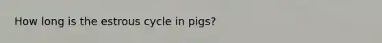 How long is the estrous cycle in pigs?