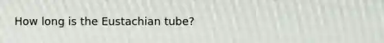 How long is the Eustachian tube?