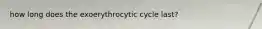 how long does the exoerythrocytic cycle last?