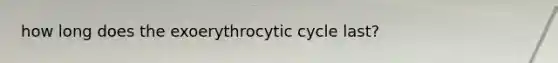 how long does the exoerythrocytic cycle last?