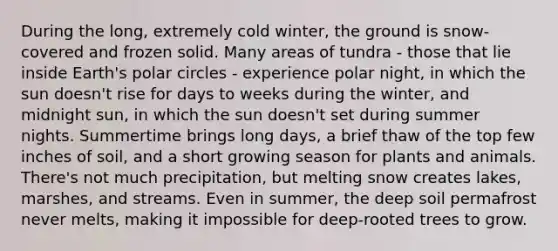 During the long, extremely cold winter, the ground is snow-covered and frozen solid. Many areas of tundra - those that lie inside Earth's polar circles - experience polar night, in which the sun doesn't rise for days to weeks during the winter, and midnight sun, in which the sun doesn't set during summer nights. Summertime brings long days, a brief thaw of the top few inches of soil, and a short growing season for plants and animals. There's not much precipitation, but melting snow creates lakes, marshes, and streams. Even in summer, the deep soil permafrost never melts, making it impossible for deep-rooted trees to grow.