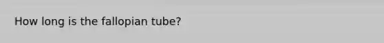 How long is the fallopian tube?