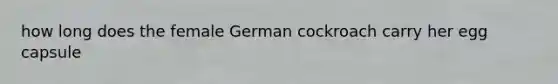 how long does the female German cockroach carry her egg capsule