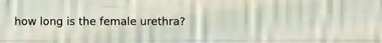 how long is the female urethra?