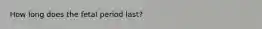 How long does the fetal period last?
