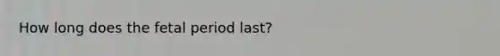 How long does the fetal period last?