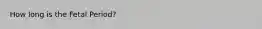 How long is the Fetal Period?