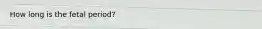 How long is the fetal period?