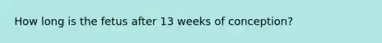 How long is the fetus after 13 weeks of conception?