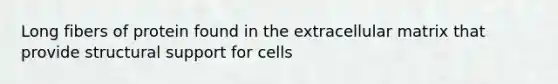 Long fibers of protein found in the extracellular matrix that provide structural support for cells