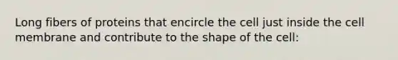 Long fibers of proteins that encircle the cell just inside the cell membrane and contribute to the shape of the cell: