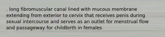 . long fibromuscular canal lined with mucous membrane extending from exterior to cervix that receives penis during sexual intercourse and serves as an outlet for menstrual flow and passageway for childbirth in females