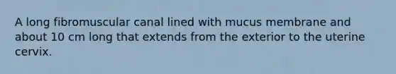 A long fibromuscular canal lined with mucus membrane and about 10 cm long that extends from the exterior to the uterine cervix.