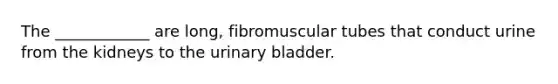 The ____________ are long, fibromuscular tubes that conduct urine from the kidneys to the urinary bladder.