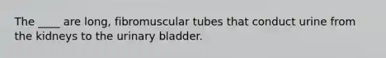 The ____ are long, fibromuscular tubes that conduct urine from the kidneys to the <a href='https://www.questionai.com/knowledge/kb9SdfFdD9-urinary-bladder' class='anchor-knowledge'>urinary bladder</a>.