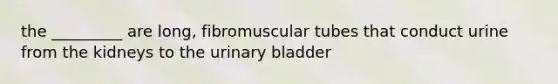 the _________ are long, fibromuscular tubes that conduct urine from the kidneys to the <a href='https://www.questionai.com/knowledge/kb9SdfFdD9-urinary-bladder' class='anchor-knowledge'>urinary bladder</a>