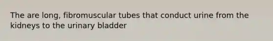 The are long, fibromuscular tubes that conduct urine from the kidneys to the urinary bladder