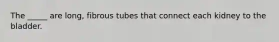 The _____ are long, fibrous tubes that connect each kidney to the bladder.