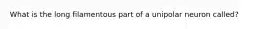 What is the long filamentous part of a unipolar neuron called?