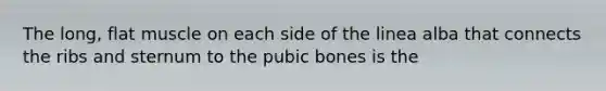 The long, flat muscle on each side of the linea alba that connects the ribs and sternum to the pubic bones is the