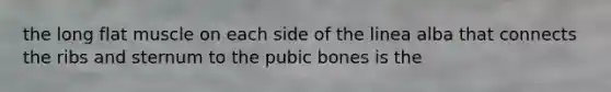 the long flat muscle on each side of the linea alba that connects the ribs and sternum to the pubic bones is the