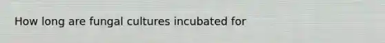 How long are fungal cultures incubated for