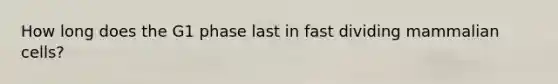 How long does the G1 phase last in fast dividing mammalian cells?