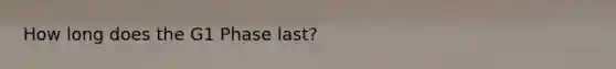 How long does the G1 Phase last?