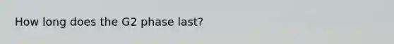 How long does the G2 phase last?