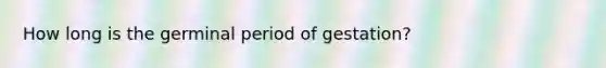 How long is the germinal period of gestation?