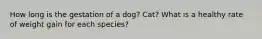 How long is the gestation of a dog? Cat? What is a healthy rate of weight gain for each species?