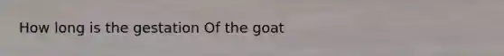 How long is the gestation Of the goat