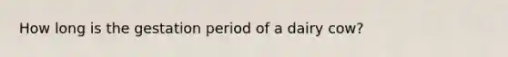 How long is the gestation period of a dairy cow?