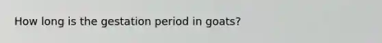 How long is the gestation period in goats?