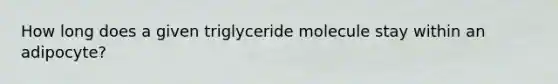 How long does a given triglyceride molecule stay within an adipocyte?