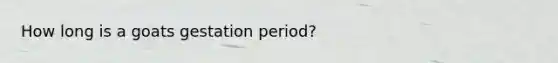 How long is a goats gestation period?