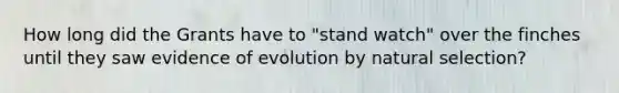 How long did the Grants have to "stand watch" over the finches until they saw evidence of evolution by natural selection?