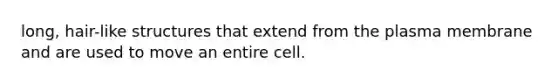 long, hair-like structures that extend from the plasma membrane and are used to move an entire cell.